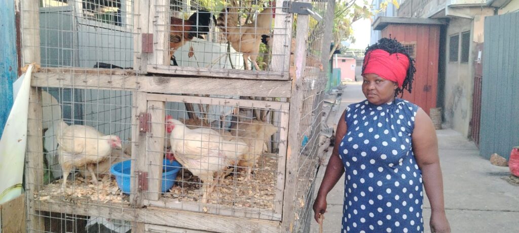 Beneficiaries of Nkoko Nketenkete programme share success stories