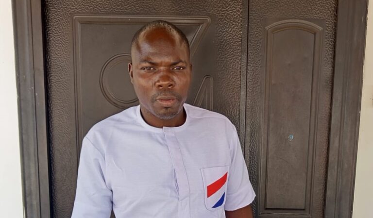 NPP opens constituency executive nominations June 22