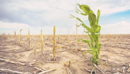 Promoting climate-smart agriculture for food security in Ghana