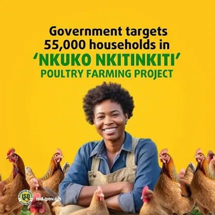 Nkoko Nkitinkiti And The Shortest Agricultural Value Chain…