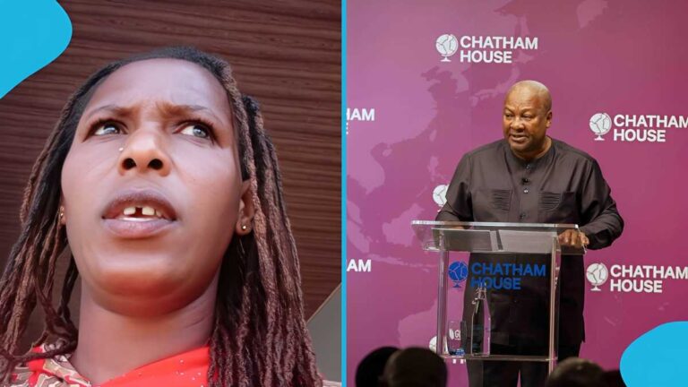 TikToker Camilla Alhassan Arrested, Pleads Guilty to False News Charges Over Mahama Videos