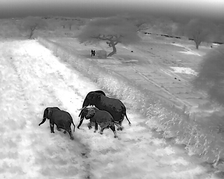Innovative Use of Thermal Drones in Kenya’s Amboseli National Park Reduces Human-Elephant Conflict