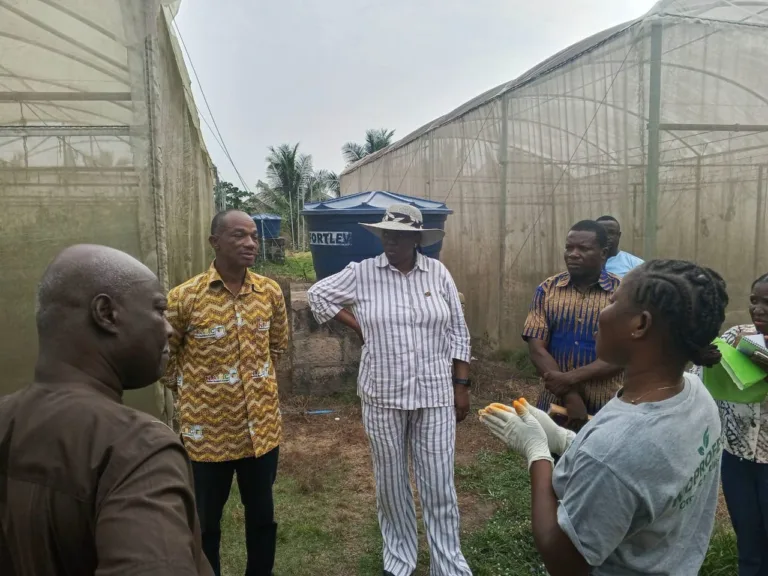 Namibian High Commissioner commends Maphlix Trust Ghana’s agricultural impact