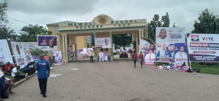 Mawuli School awash in NPP colours as regional executive election begins