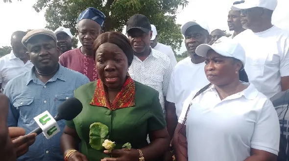 Gov’t moves to revive cotton production in Northern Region to feed textile industry