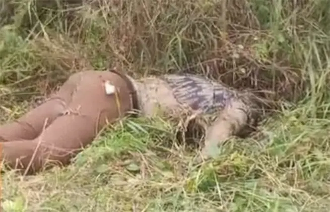 Gold Dealer Found Dead In Bush