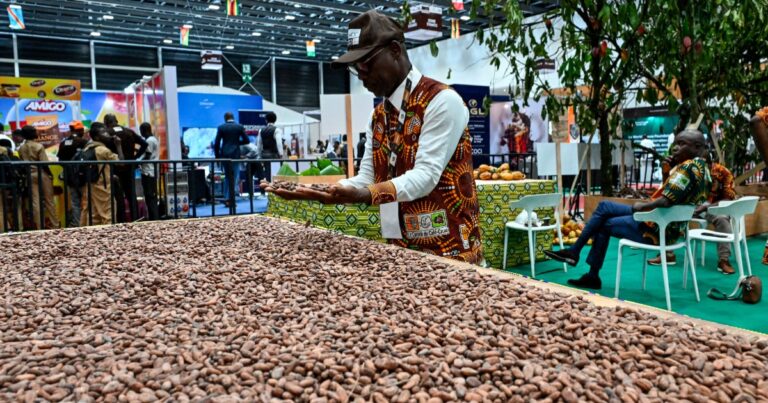 Ghana’s Cocoa Output Faces 16% Decline in 2026/2027 Season: Climate, Disease, and Illegal Mining Threaten Global Chocolate Supply