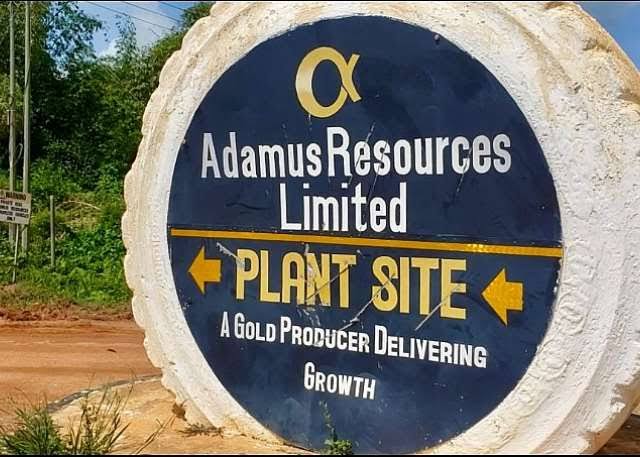 Adamus to challenge licence revocation