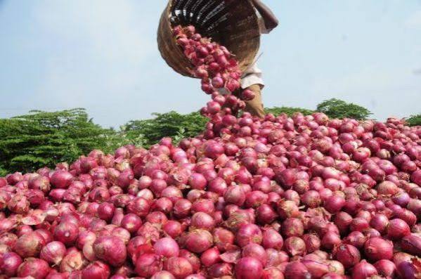 Nigerian Onion Traders Suspend Ghana Exports, Seek ECOWAS Intervention