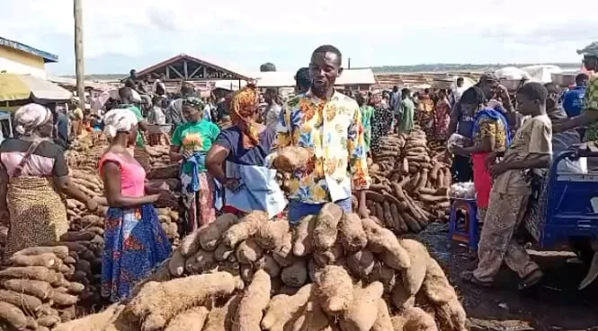 Politics of farming: failure or curse? 