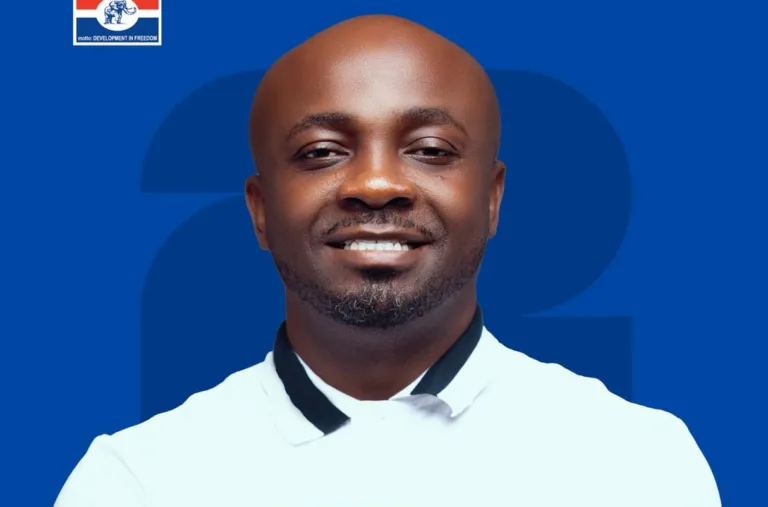 Youth Organiser race: ‘POPE is over 40’ – NPP member petitions