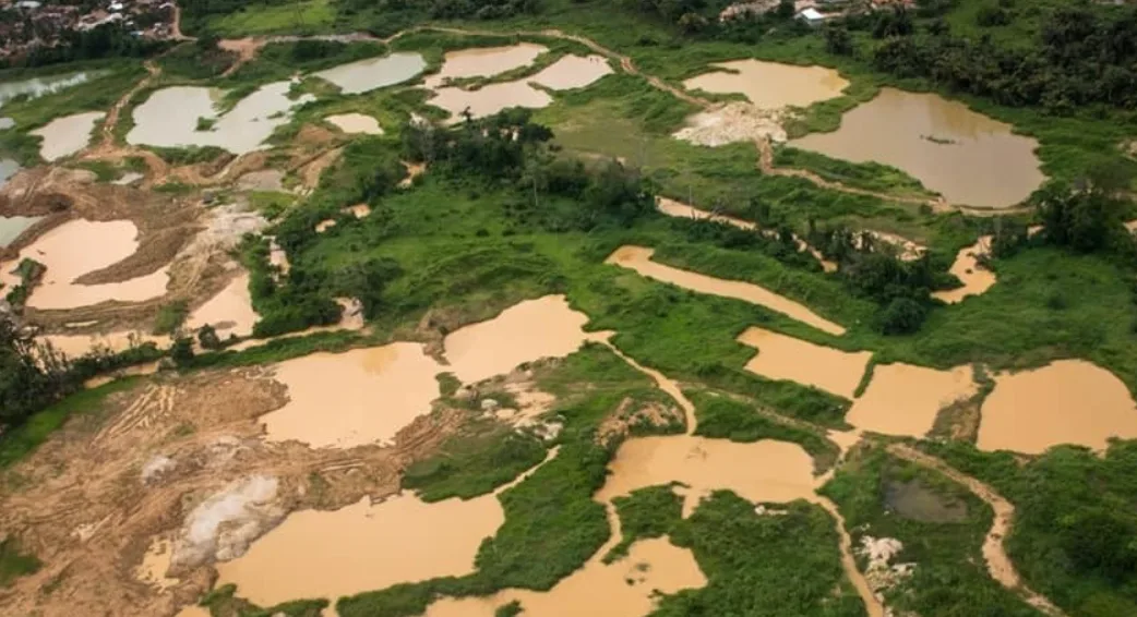 Pharmaceutical Society demands tougher action against galamsey