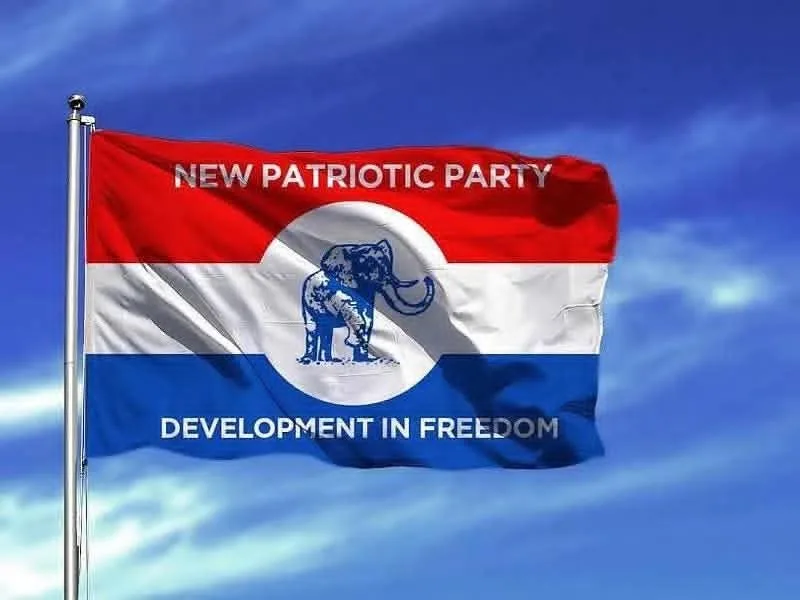 Ghana Jollof case: NPP condemns remand of Salomey Awiti Bafoh, questions jurisdiction of Adenta court