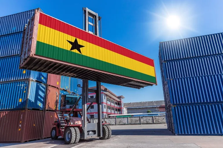 Ghana probes Tema Port congestion as cargo volumes rise
