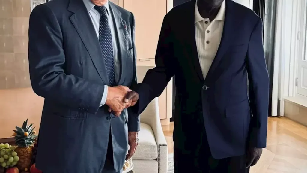 Tinubu Seeks Expanded French Investment in Nigeria’s Entertainment and Digital Sectors